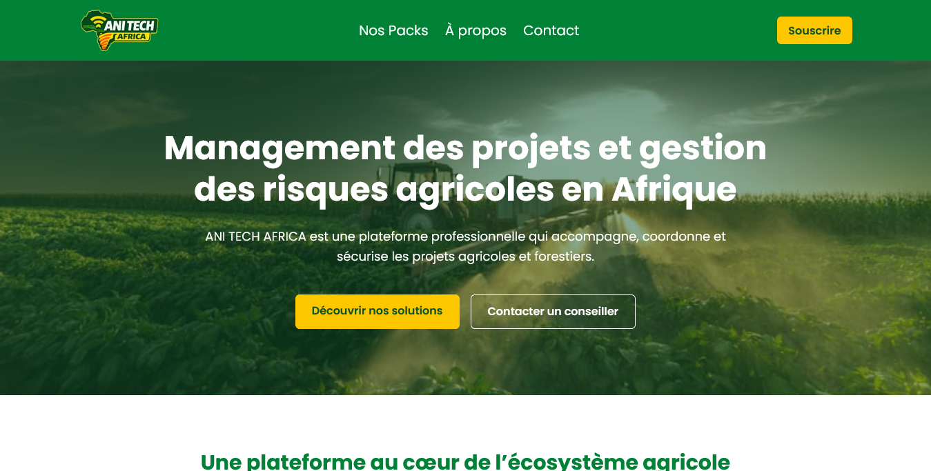 Aperçu de la plateforme AnitechAfrica